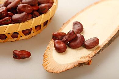 美国玩家贡献最大 任天堂音乐APP下载量突破百万